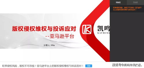 亚马逊版权投诉概述