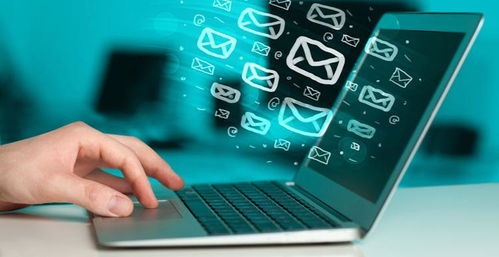 亚马逊侵权服务概述