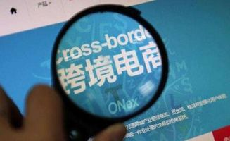 跨境电商侵权类型深度剖析