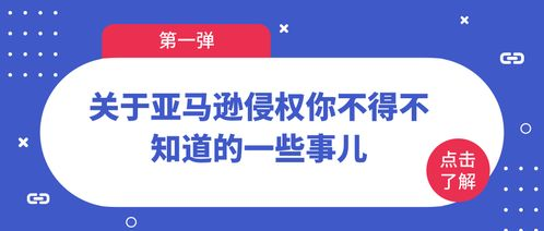 亚马逊侵权概述
