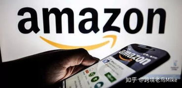 亚马逊侵权类型深度解析与风险识别