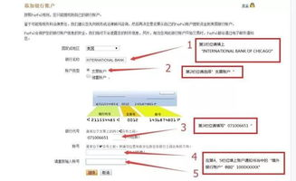 什么是跨境结汇工具？