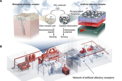 人工智能驱动的实时风险识别系统