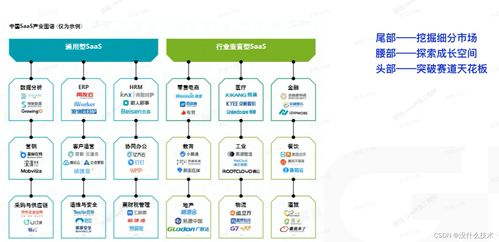 跨境SaaS应用网络的核心技术架构解析