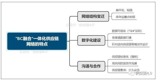 跨境供应链信息网络的定义与核心要素