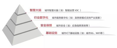 数字基础设施：跨境知识流动的物理基石