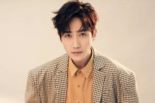 二、如何使用神马影视网