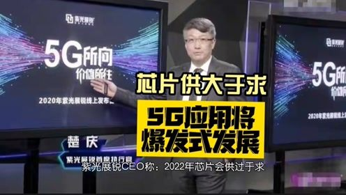 二、如何高效使用紫夜影视网