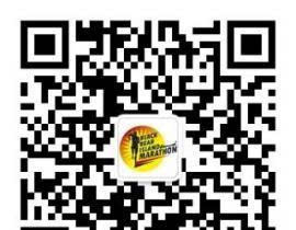 火鸟影视网站在线观看指南-高清影视资源轻松享