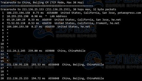 四、更新速度与内容丰富性