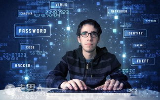 二、如何高效使用88影视网电视剧大全