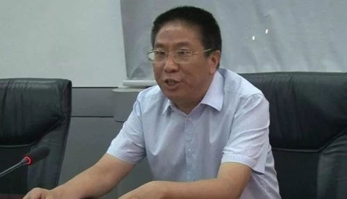 片哈影视影视网,便捷观影体验-网络影视平台优化策略解析