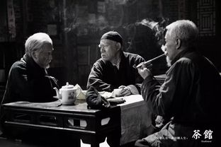 三、喝茶影视网的内容更新速度