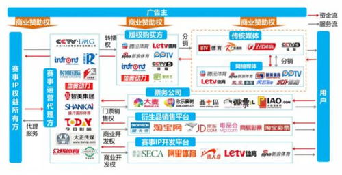 四、随酷影视网的版权保护与合规发展