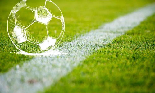 足球文化赋能，露营装备跨境选品迎来主题化升级