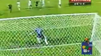 世界杯主题帐篷的市场潜力与需求分析