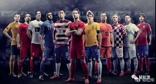 世界杯对宠物服饰市场的影响