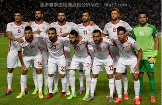 世界杯球队热点追踪,世界杯球队热点追踪软件