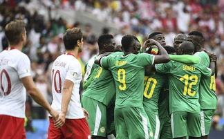 世界杯热门比赛周边,世界杯足球赛热门球队