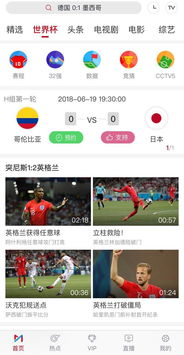 VAR技术的背景与世界杯的引入