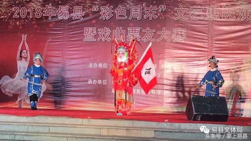 世界杯裁判用品调侃,世界杯裁判员