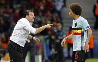 世界杯赛前发布会,世界杯预告