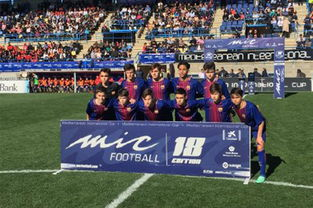 世界杯豆瓣小组运营,世界杯小组积分表