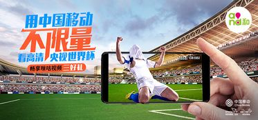 世界杯直播平台合作,世界杯官方合作网站