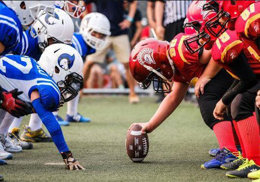 世界杯应援旗帜的意义与情感价值