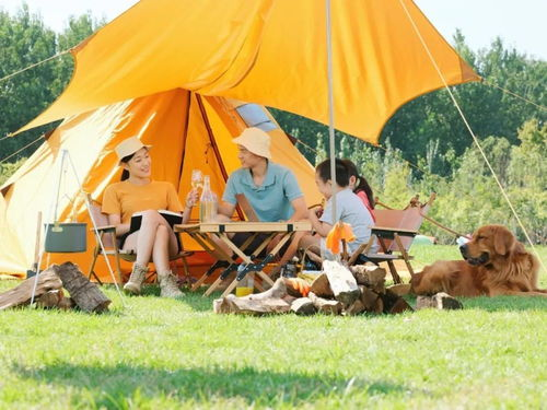 世界杯与露营的完美结合