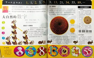 世界杯蘸酱调味套装,世界杯好吃吗