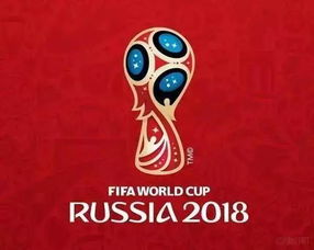 世界杯行李挂牌,装世界杯的箱子