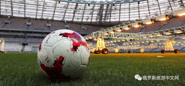 世界杯观赛的舒适需求