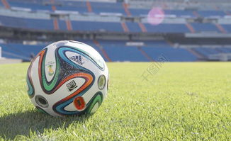 世界杯海外仓推荐,世界杯购买推荐