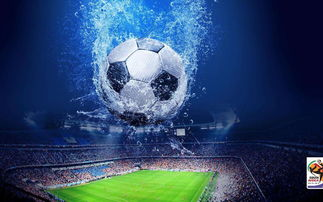 世界杯版权风险检测,2022年世界杯版权