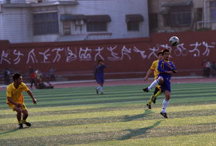 世界杯内容创作灵感,世界杯 主题