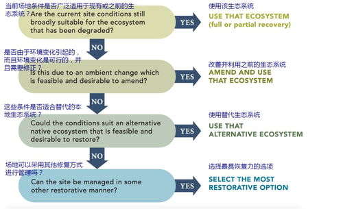 世界杯政 治敏感规避,世界杯制度