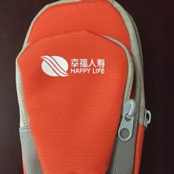 世界杯运动臂包,世界杯臂章如何鉴定真伪