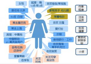 AI驱动的精准粉丝画像构建：深度理解用户需求