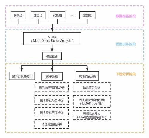 为什么跨境商品主图需要多角度展示？
