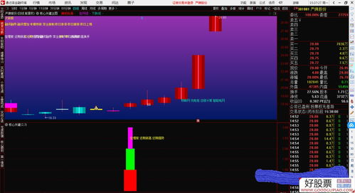 跨境TikTok小店主图,tiktok 开店