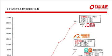 跨境汇率团队建设,跨境外汇