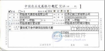 一、银行电汇与专业第三方支付平台的费率结构深度解析