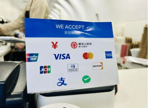 什么是跨境支付演示？