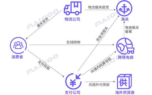 跨境支付大数据,跨境支付系统介绍
