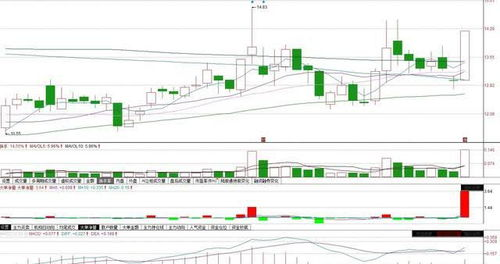 跨境支付数字孪生,跨境支付的数字货币:宏观金融的影响