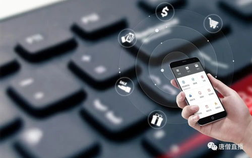 跨境支付算法透明,跨境支付方式有哪些?