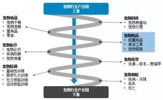 跨境宠物选品工具,跨境宠物托运公司