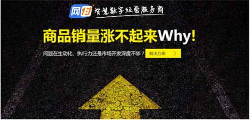 跨境感恩节大促全平台优惠机制解密