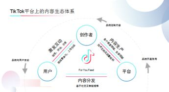 一、 洞悉平台机制，玩转跨境TikTok双十二流量密码
